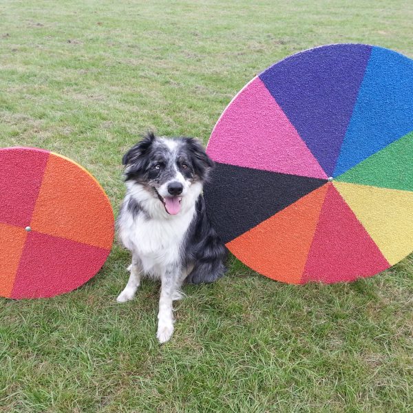 Wobble Boards Paws On It